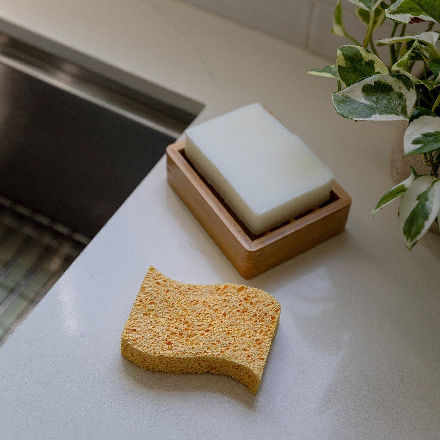 Biodegradable Kitchen Sponge 2-Pack