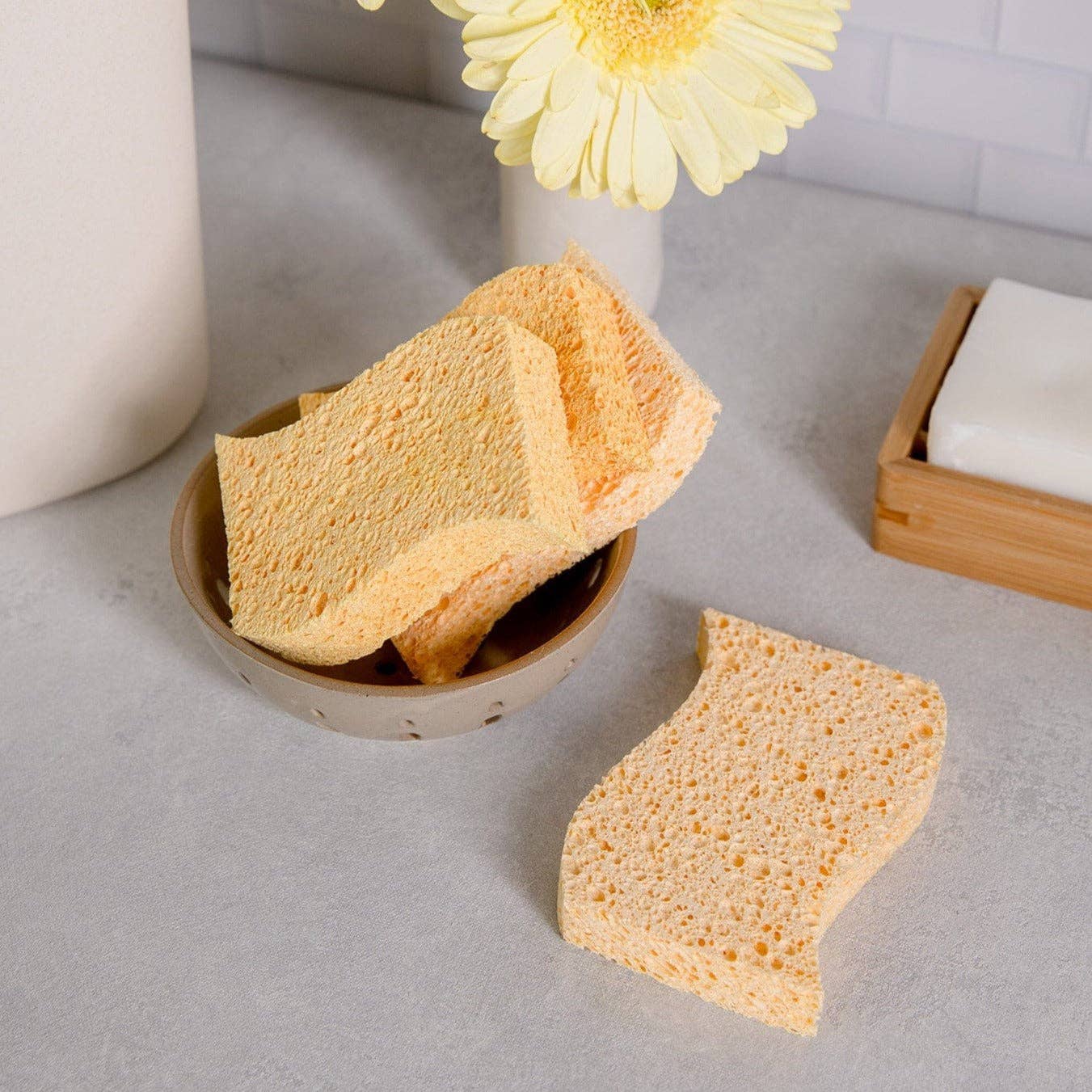 Biodegradable Kitchen Sponge 2-Pack