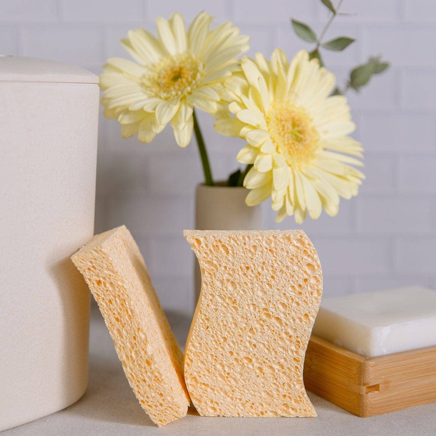 Biodegradable Kitchen Sponge 2-Pack