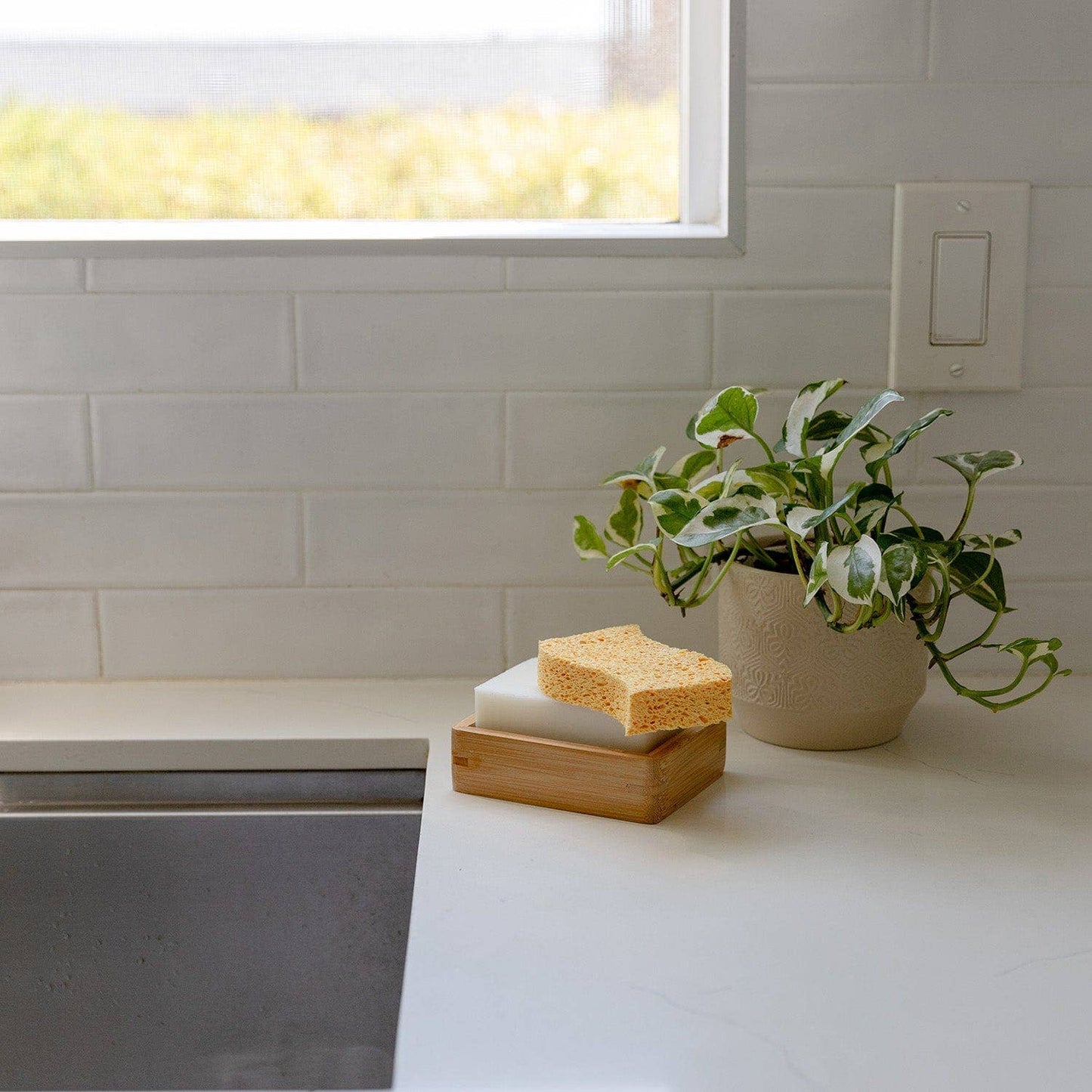 Biodegradable Kitchen Sponge 2-Pack