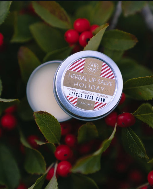 Holiday Lip Salve