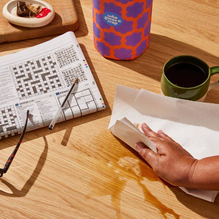 100% Recycled Paper Towels (1 Roll)