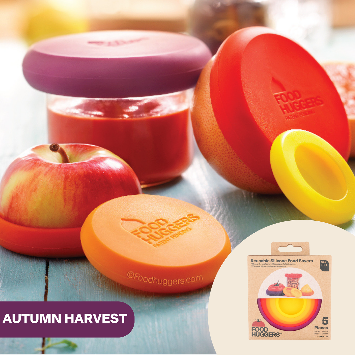 Food Huggers: 5 Piece Set